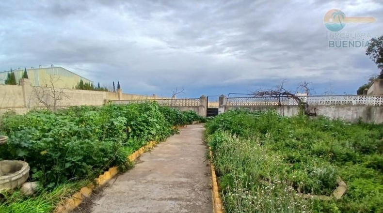 Murcia - Fuente Álamo de Murcia - 11950m2