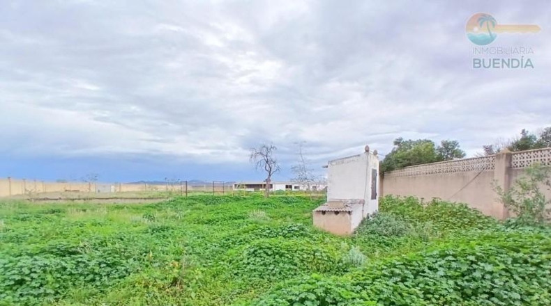 Murcia - Fuente Álamo de Murcia - 11950m2