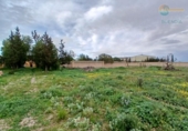 Casa de campo con terreno en venta en la España, Fuente Álamo, ref: TR382667 foto