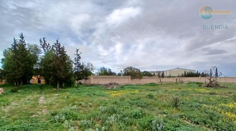 Murcia - Fuente Álamo de Murcia - 11950m2