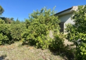 Terreno no urbanizable en venta en la España, Alhaurín el Grande, ref: TR115677 foto