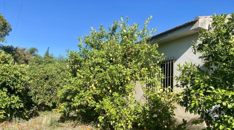 Málaga - Alhaurín el Grande - 15000m2