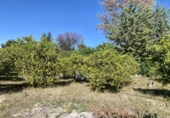 Terreno no urbanizable en venta en la España, Alhaurín el Grande, ref: TR115677 foto