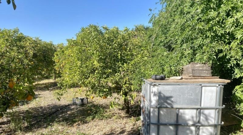 Málaga - Alhaurín el Grande - 15000m2