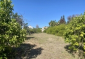 Terreno no urbanizable en venta en la España, Alhaurín el Grande, ref: TR115677 foto