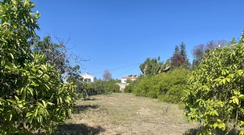 Málaga - Alhaurín el Grande - 15000m2