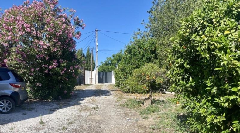 Málaga - Alhaurín el Grande - 15000m2