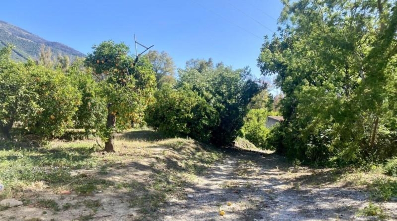 Málaga - Alhaurín el Grande - 15000m2