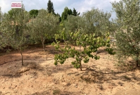 Foto 15