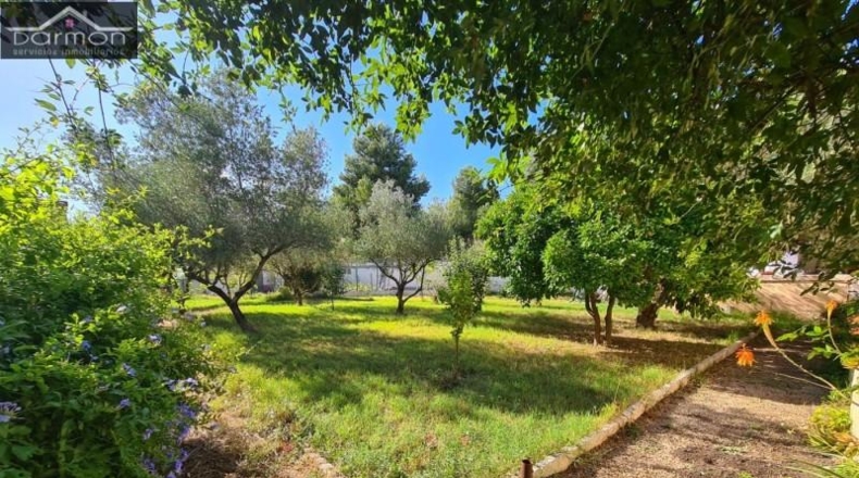 Valencia - Castellón de Rugat - 2500m2