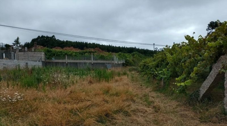 Pontevedra - Sanxenxo - 2800m2