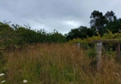 Land suitable for development for sale on España, Sanxenxo, ref: TR118225 photo