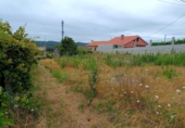 Land suitable for development for sale on España, Sanxenxo, ref: TR118225 photo