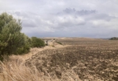 Land suitable for development for sale on España, Vejer de la Frontera, ref: TR118929 photo