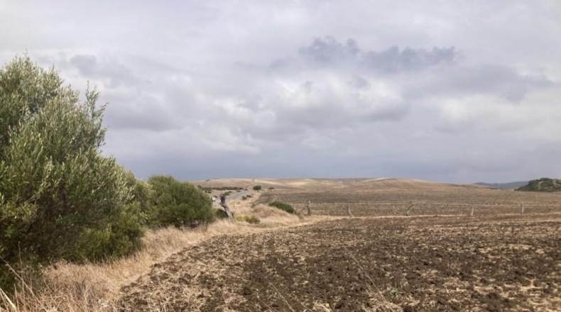 Cádiz - Vejer de la Frontera - 31407m2