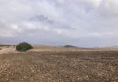 Land suitable for development for sale on España, Vejer de la Frontera, ref: TR118929 photo