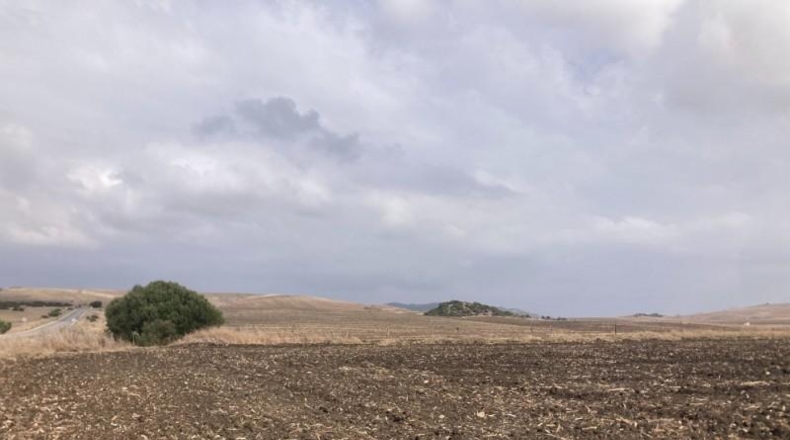 Cádiz - Vejer de la Frontera - 31407m2