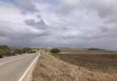 Land suitable for development for sale on España, Vejer de la Frontera, ref: TR118929 photo