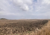 Land suitable for development for sale on España, Vejer de la Frontera, ref: TR118929 photo