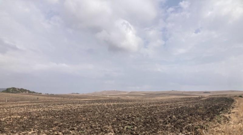 Cádiz - Vejer de la Frontera - 31407m2