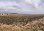 Land suitable for development for sale on España, Vejer de la Frontera, ref: TR118929 photo