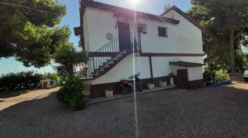 Alicante - Crevillente - 10000m2