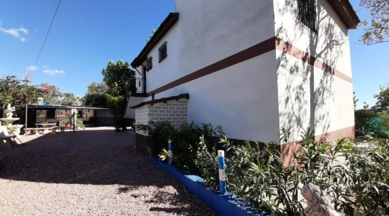 Alicante - Crevillente - 10000m2