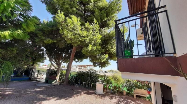 Alicante - Crevillente - 10000m2