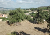 Sòl urbà en venda a la España, Sant Antoni de Calonge, ref.: TR229597 foto