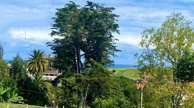Cantabria - Cóbreces - 1836m2