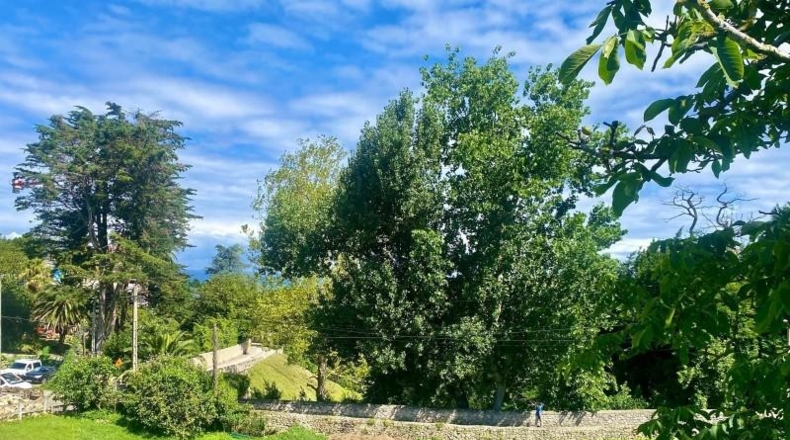 Cantabria - Cóbreces - 1836m2