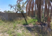 Xalet independent amb terreny en venda a la España, Benimantell, ref.: TR333309 foto