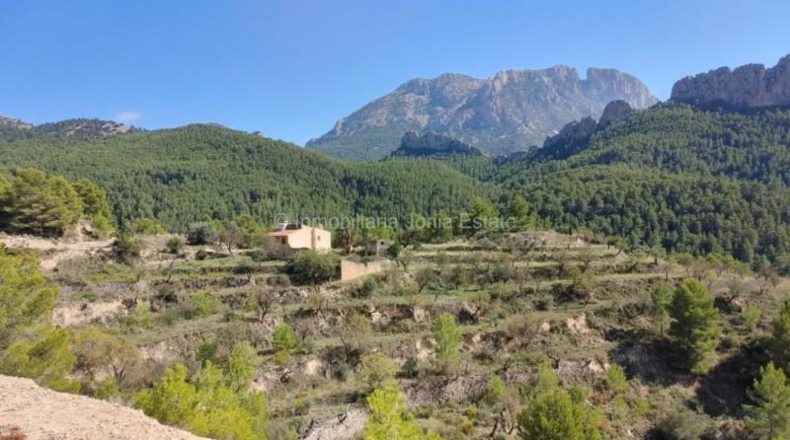 Alicante - Benimantell - 130000m2