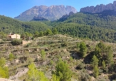 Xalet independent amb terreny en venda a la España, Benimantell, ref.: TR333309 foto