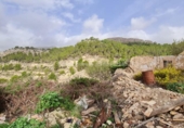 Xalet independent amb terreny en venda a la España, Benimantell, ref.: TR333309 foto