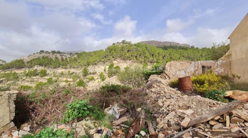 Alicante - Benimantell - 130000m2