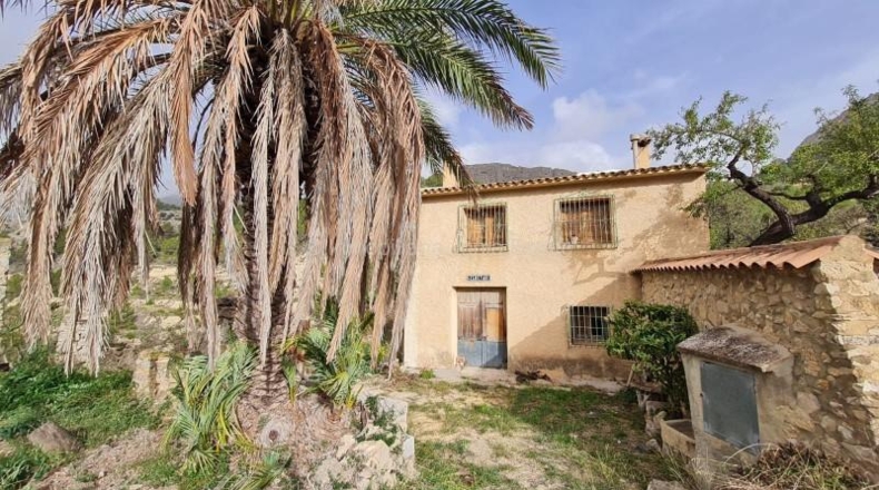 Alicante - Benimantell - 130000m2