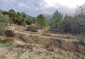 Xalet independent amb terreny en venda a la España, Benimantell, ref.: TR333309 foto
