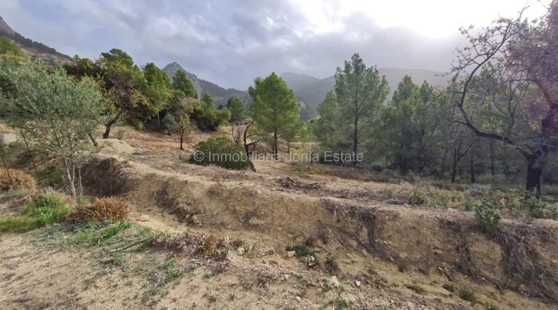 Alicante - Benimantell - 130000m2