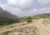 Xalet independent amb terreny en venda a la España, Benimantell, ref.: TR333309 foto