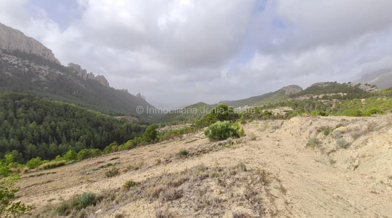 Alicante - Benimantell - 130000m2