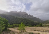Xalet independent amb terreny en venda a la España, Benimantell, ref.: TR333309 foto