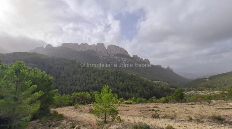 Alicante - Benimantell - 130000m2
