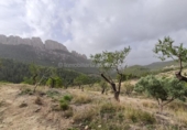 Xalet independent amb terreny en venda a la España, Benimantell, ref.: TR333309 foto