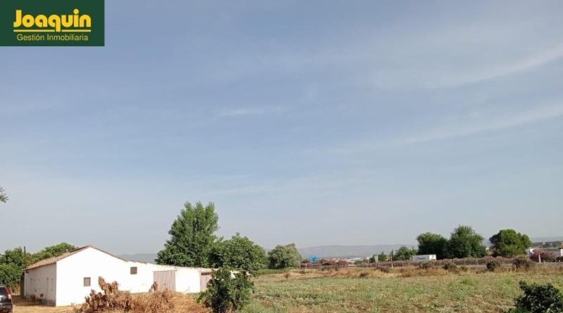 Cordova - Córdoba - 60000m2