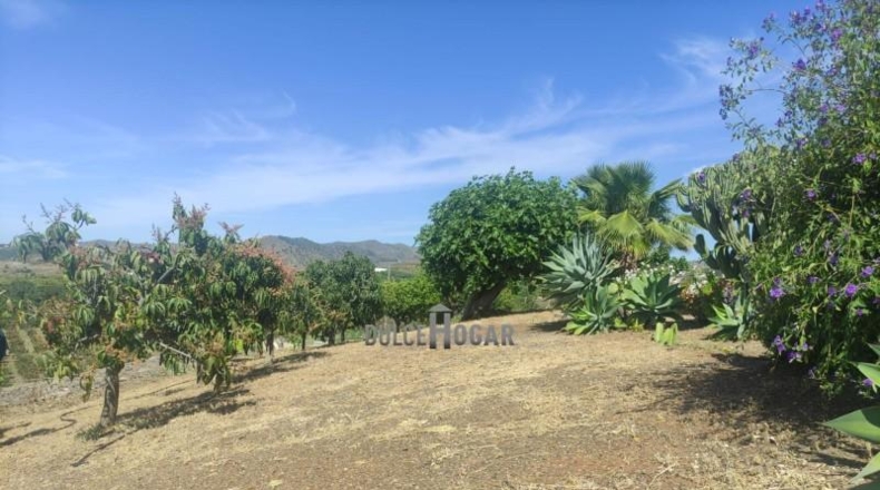 Málaga - Almayate Alto - 2150m2