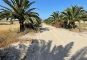 Xalet independent amb terreny en venda a la España, Arcos de la Frontera, ref.: TR163232 foto