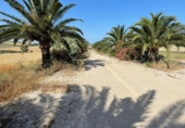 Xalet independent amb terreny en venda a la España, Arcos de la Frontera, ref.: TR163232 foto