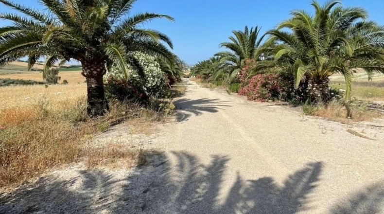 Cádiz - Arcos de la Frontera - 60000m2