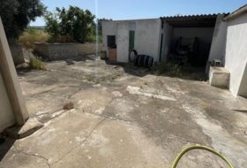 Foto 19